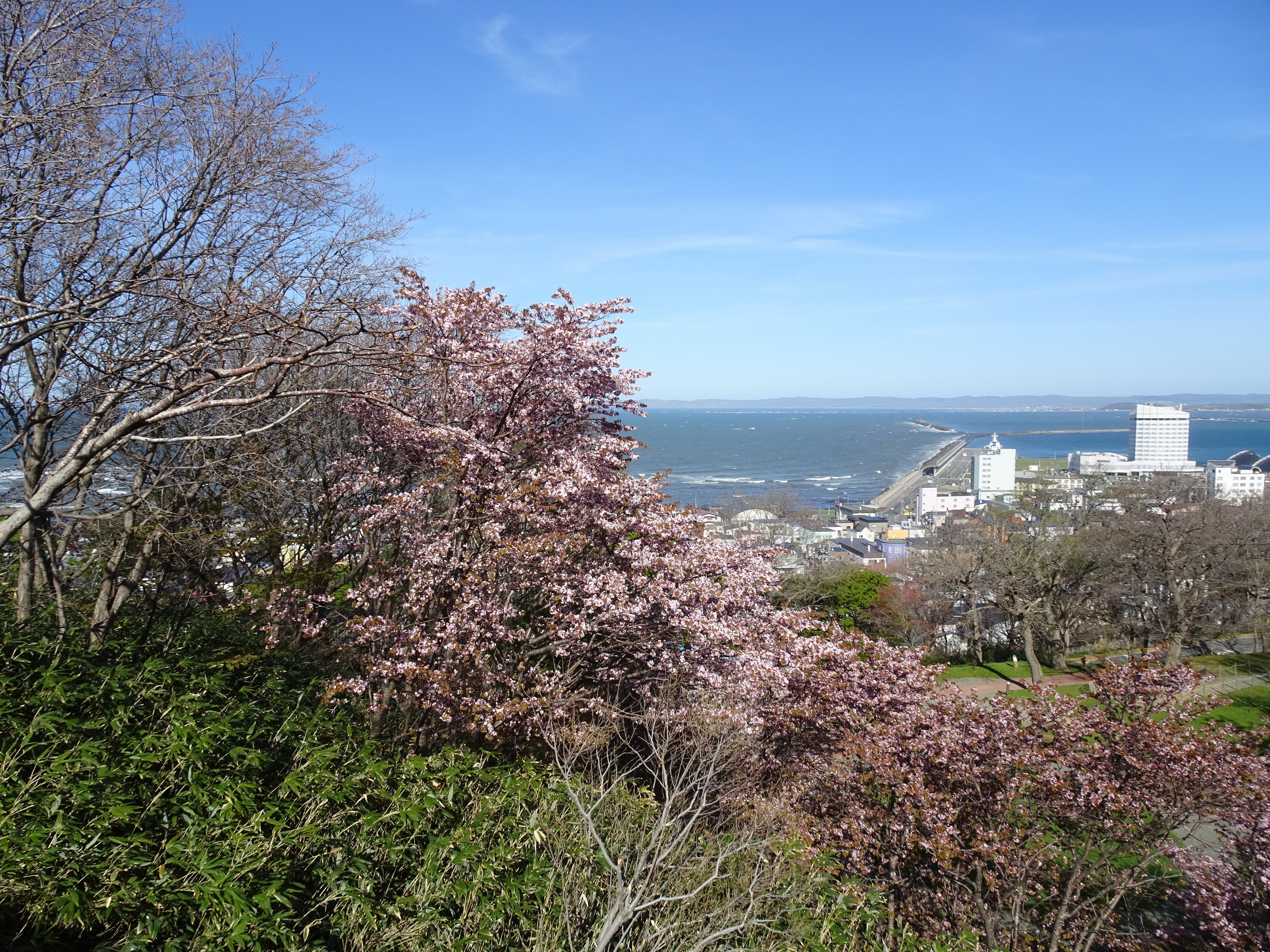 DSC00601.jpg